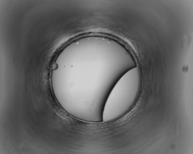 X0000100871263200806200854