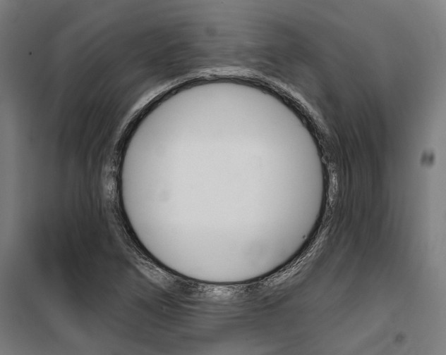 X0000100871266200806200854
