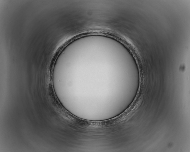 X0000100871267200806200854