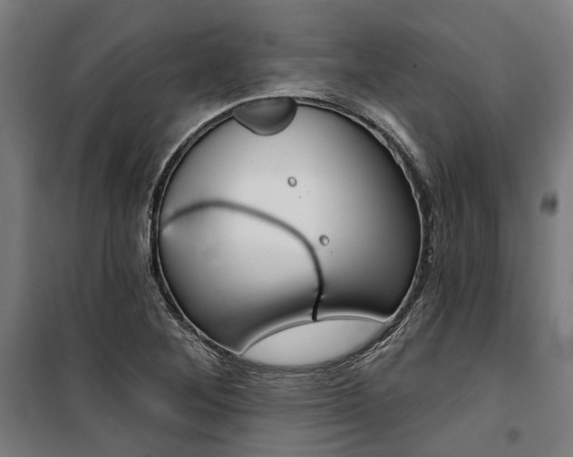 X0000100871268200806200854