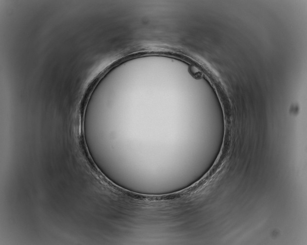 X0000100871269200806200854