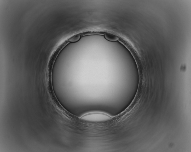 X0000100871270200806200854