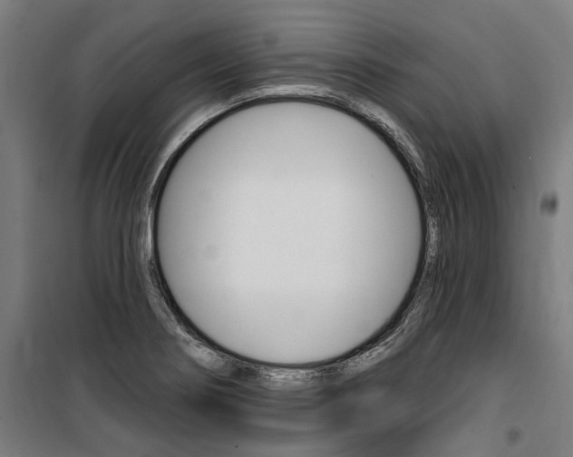 X0000100871274200806200854
