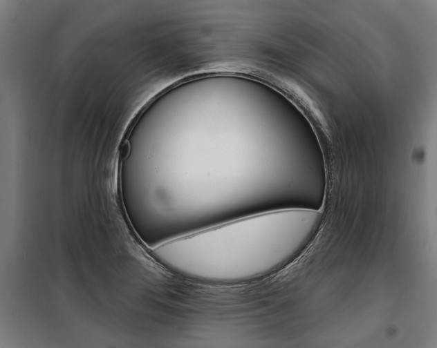 X0000100871276200806200854