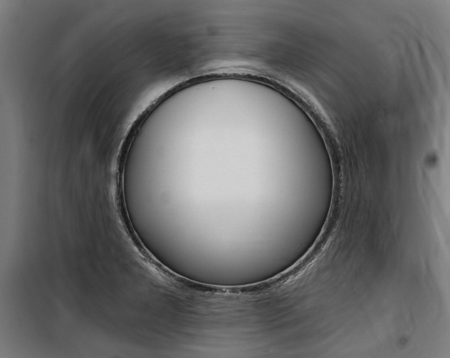 X0000100871277200806200854