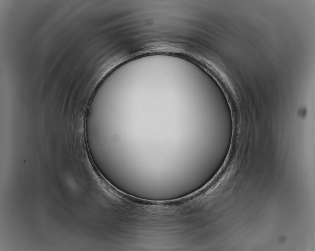 X0000100871281200806200854
