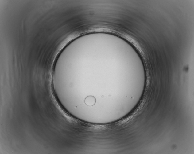 X0000100871282200806200854