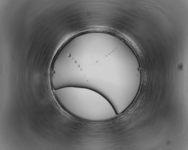 X0000100871283200806200854