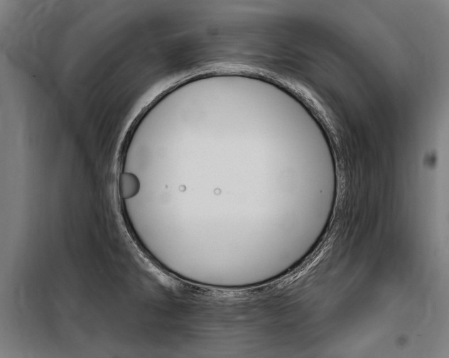 X0000100871286200806200854