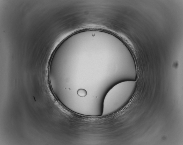 X0000100871287200806200854