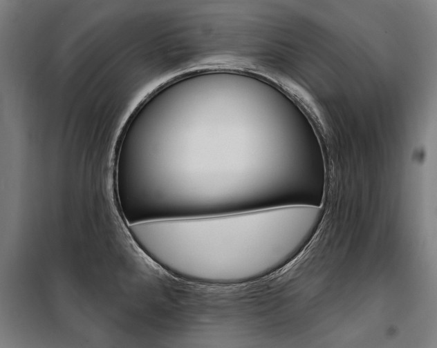 X0000100871288200806200854