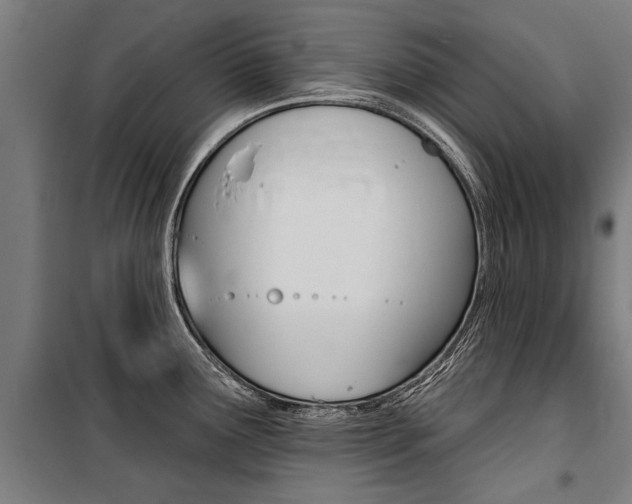 X0000100871291200806200854