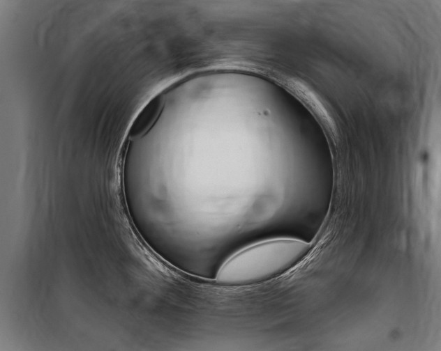 X0000100871292200806200854