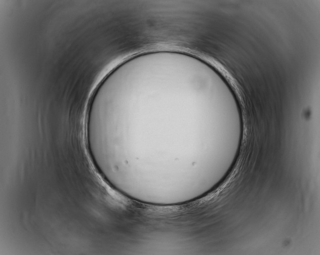X0000100871294200806200854