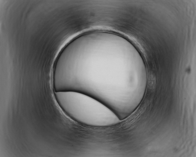 X0000100871295200806200854