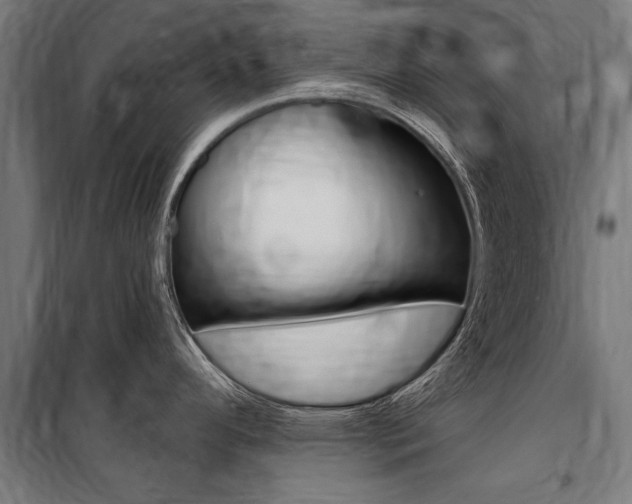 X0000100871296200806200854