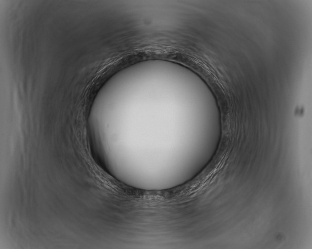 X0000100871297200806200853