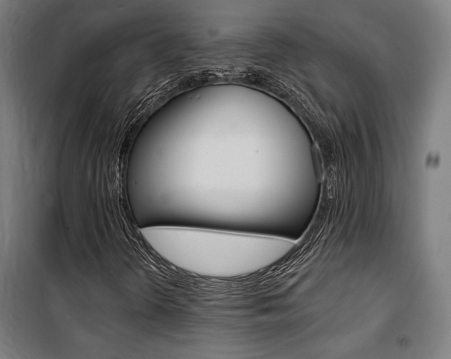 X0000100871298200806200853