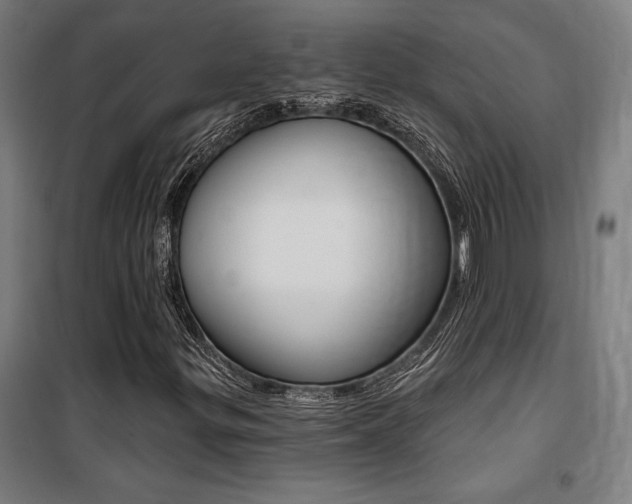 X0000100871299200806200853