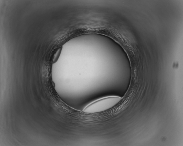 X0000100871300200806200853