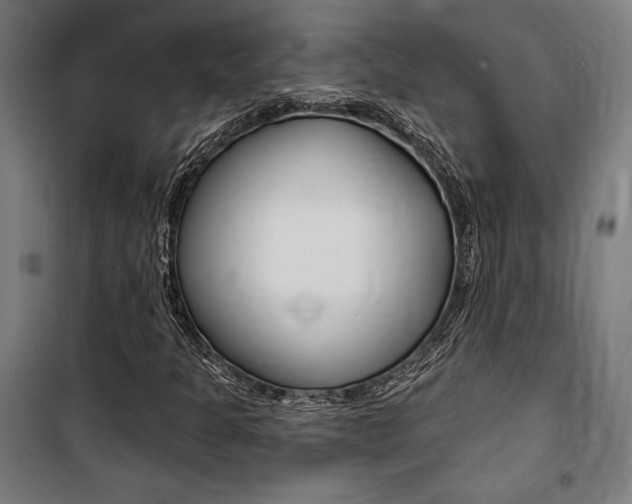 X0000100871301200806200853