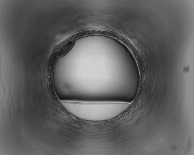 X0000100871303200806200853