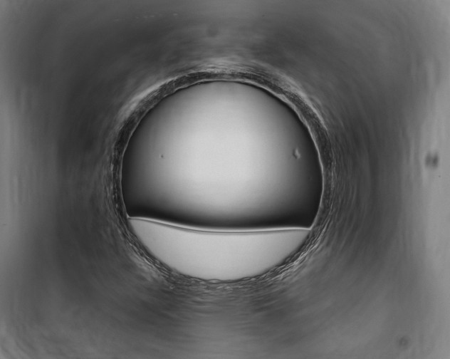 X0000100871304200806200853