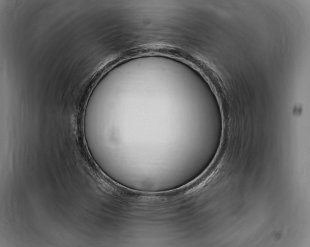 X0000100871305200806200853