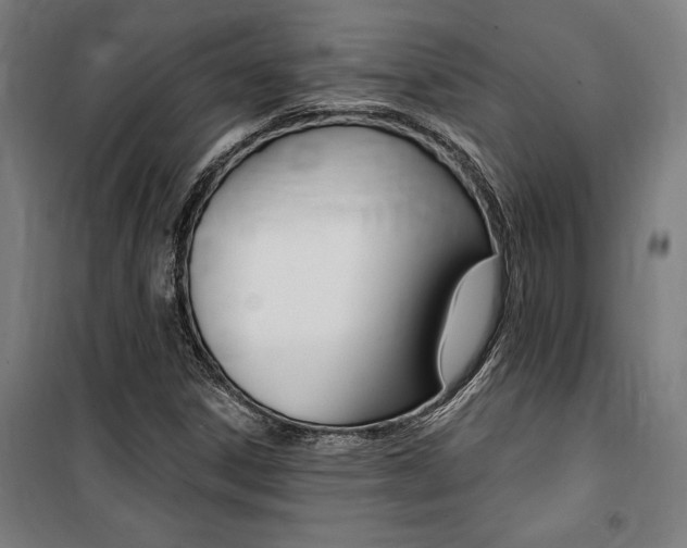X0000100871306200806200853