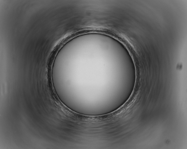 X0000100871307200806200853