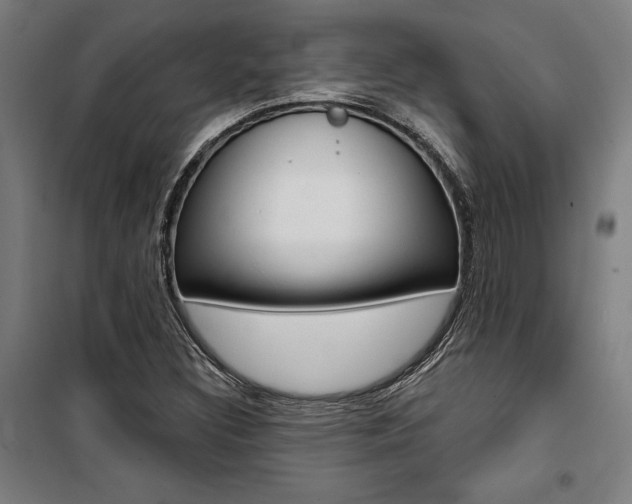 X0000100871308200806200853