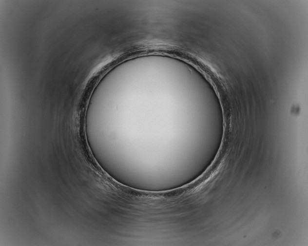 X0000100871309200806200853