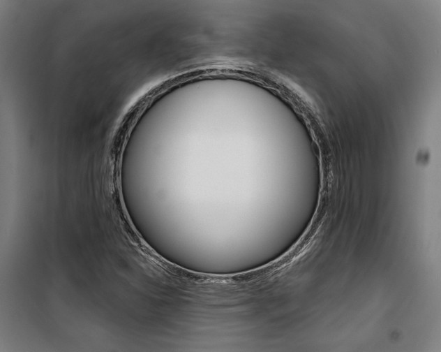 X0000100871310200806200853