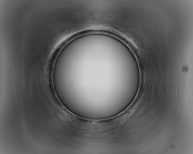 X0000100871311200806200853