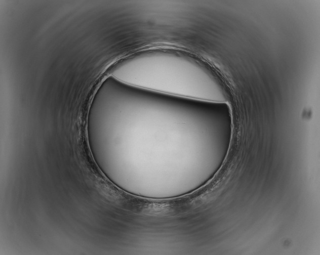 X0000100871313200806200853