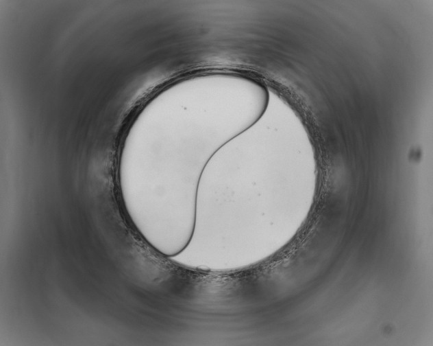 X0000100871314200806200853