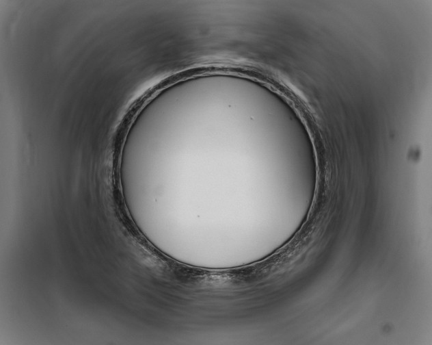 X0000100871315200806200853