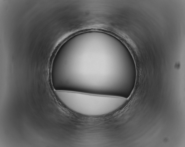 X0000100871316200806200853