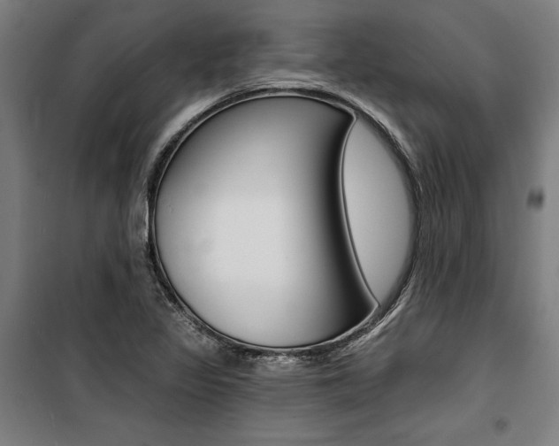 X0000100871317200806200853