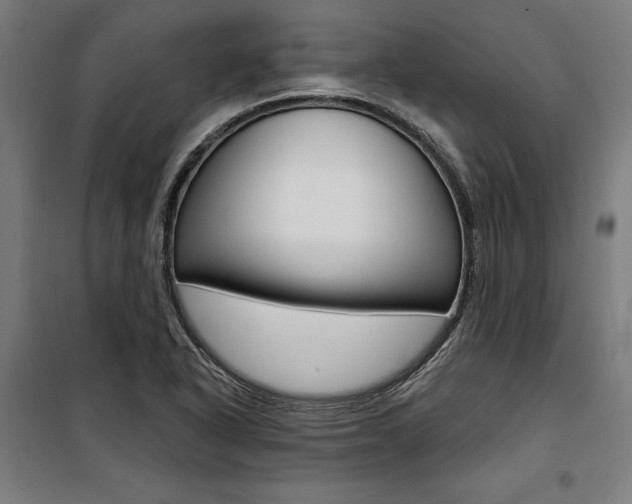 X0000100871318200806200853