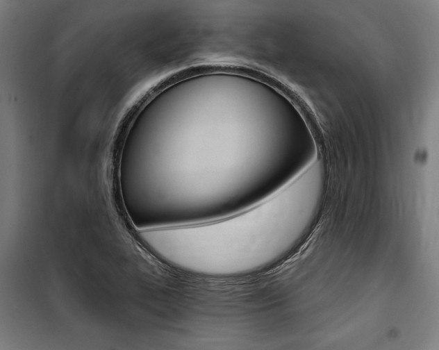 X0000100871319200806200853