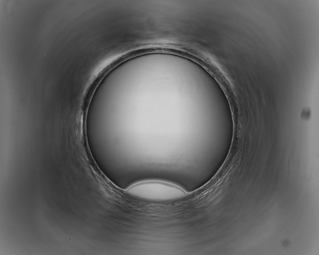 X0000100871320200806200853