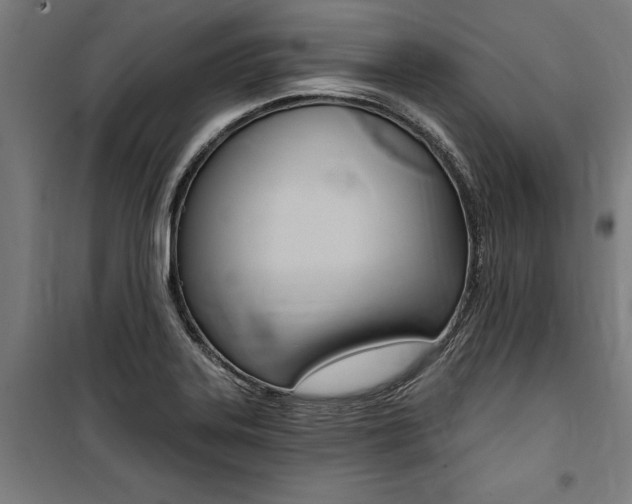 X0000100871323200806200853