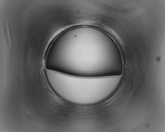 X0000100871324200806200853