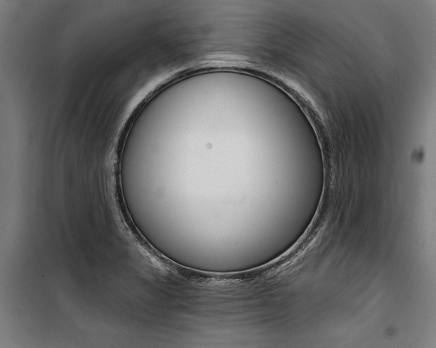 X0000100871325200806200853
