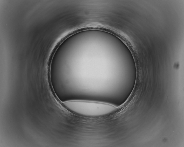 X0000100871326200806200853