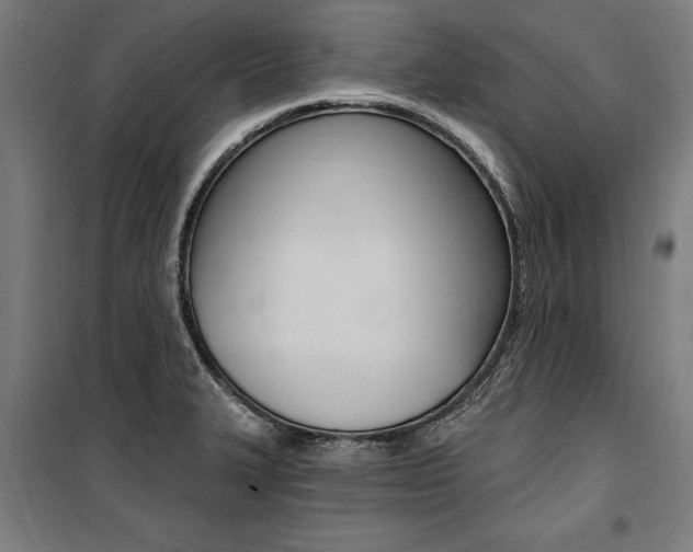 X0000100871327200806200853