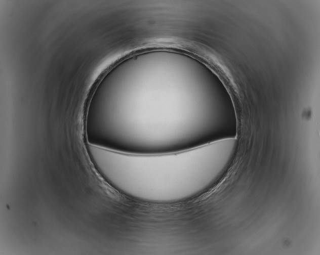 X0000100871328200806200853