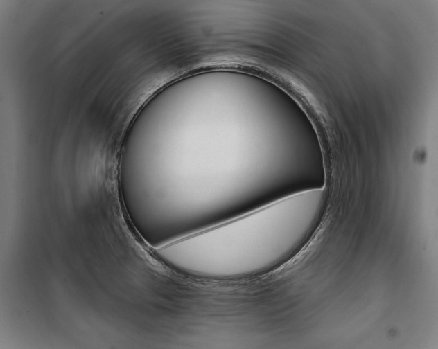 X0000100871329200806200853
