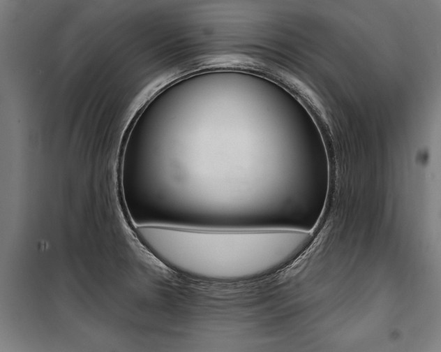 X0000100871330200806200853